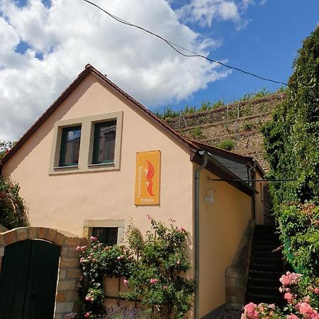 Unterkunft Am Weinberg Nunchritz Luaran gambar