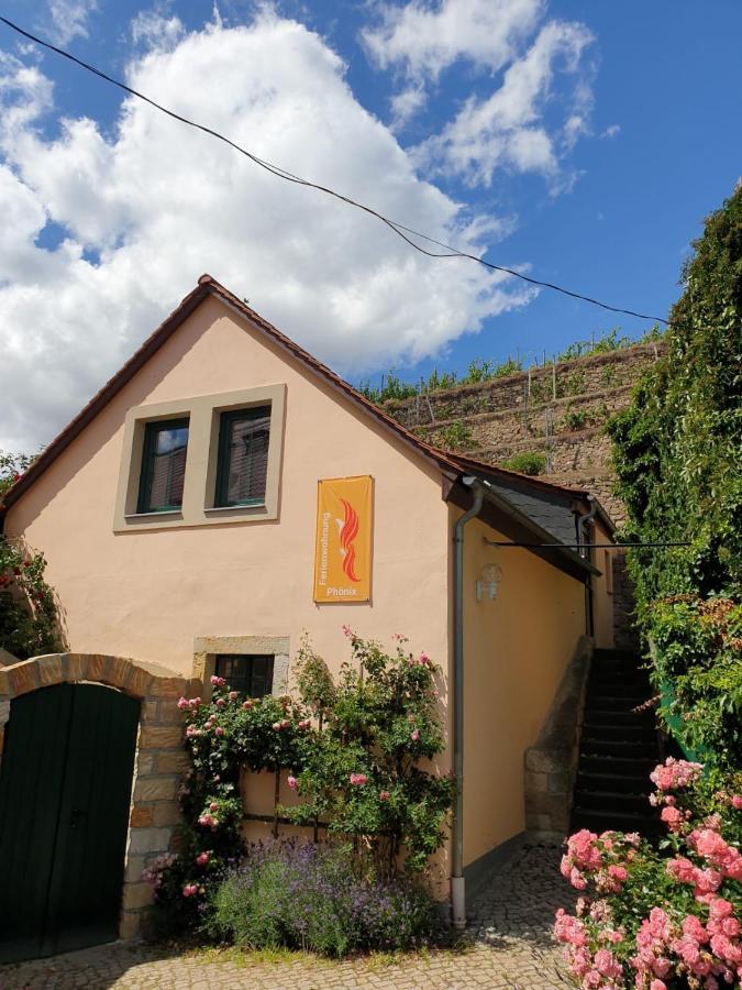 Unterkunft Am Weinberg Nunchritz Luaran gambar